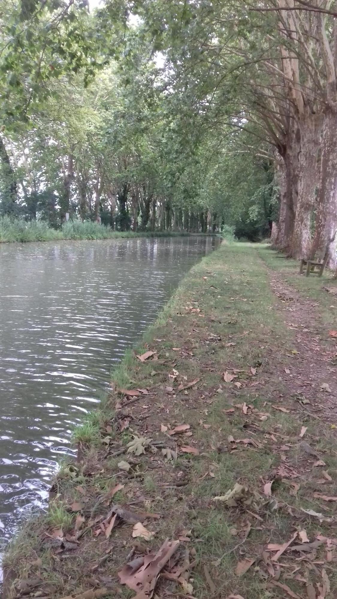 Le Studio De La Casa Fourquaise Apartment Fourques-sur-Garonne Екстериор снимка